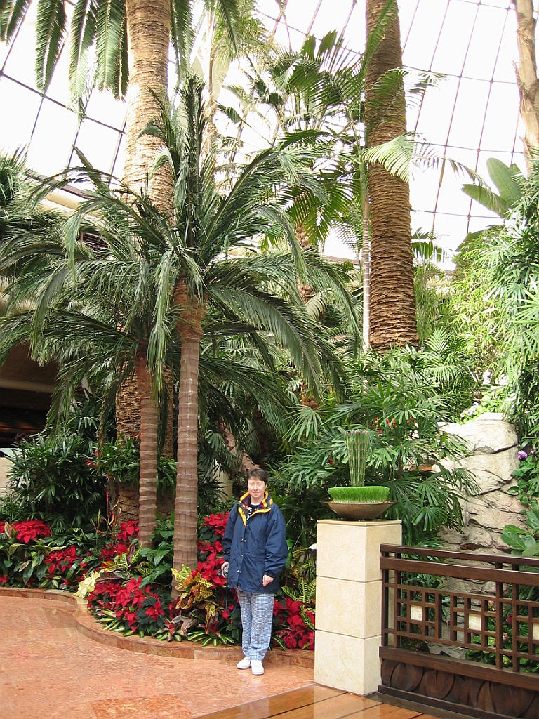 061 Jardin intérieur Mirage.jpg